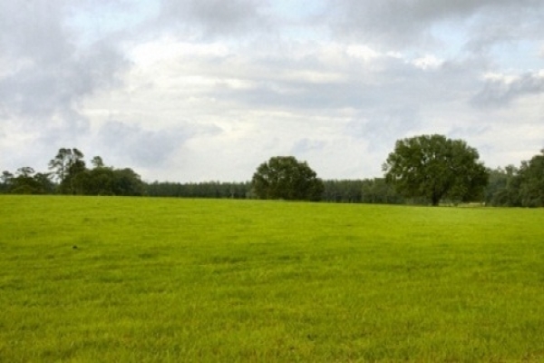 Commercial Land for Development